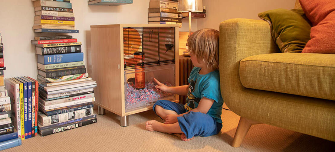 Little boy sitting on the living room floor looking at his pet in the Qute cage.