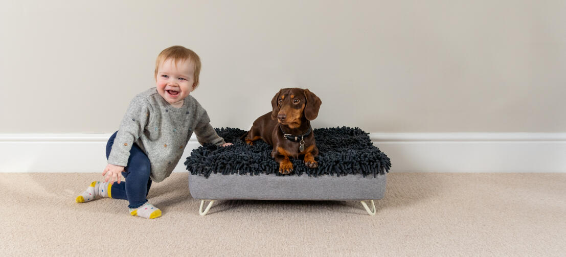 Topology dog bed