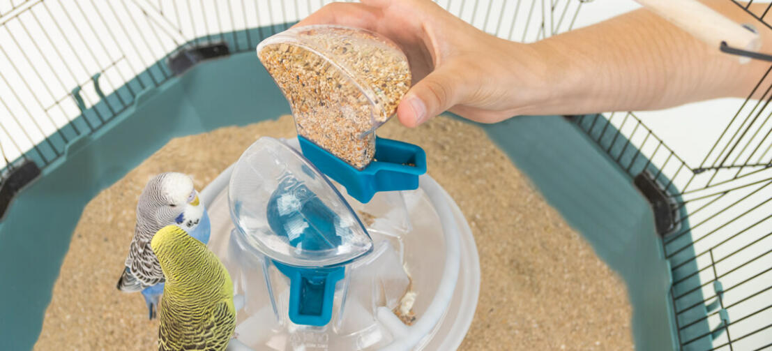 The beautifully integrated central bird feeder offers 360 degree refreshment for your pet birds. The food and water containers simply drop into place.