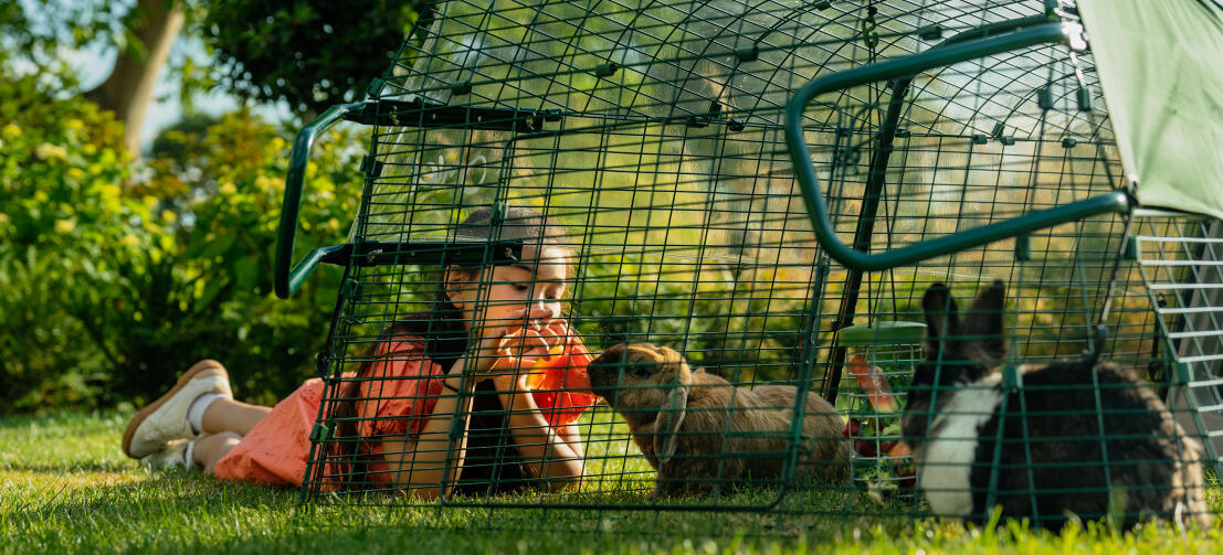 A child feeding her pet rabbit some watermelon through the mesh of the run.