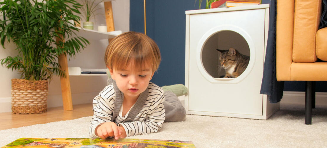 Cute cat in Omlet Maya cat house with child laying down in front reading a book