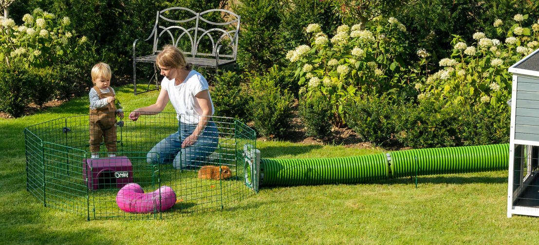 A family playing with guinea pigs in the garden, with Zippi tunnels connecting the Zippi playpen to a wooden hutch.