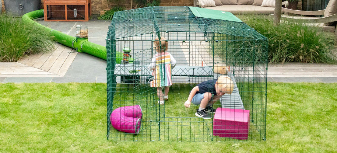 Two children playing with guinea pigs in the Zippi run