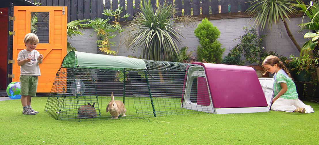 With a Eglu Go hutch, you and your rabbits can spend time together in the garden. With a Eglu Go hutch, you and your rabbits can spend time together in the garden.