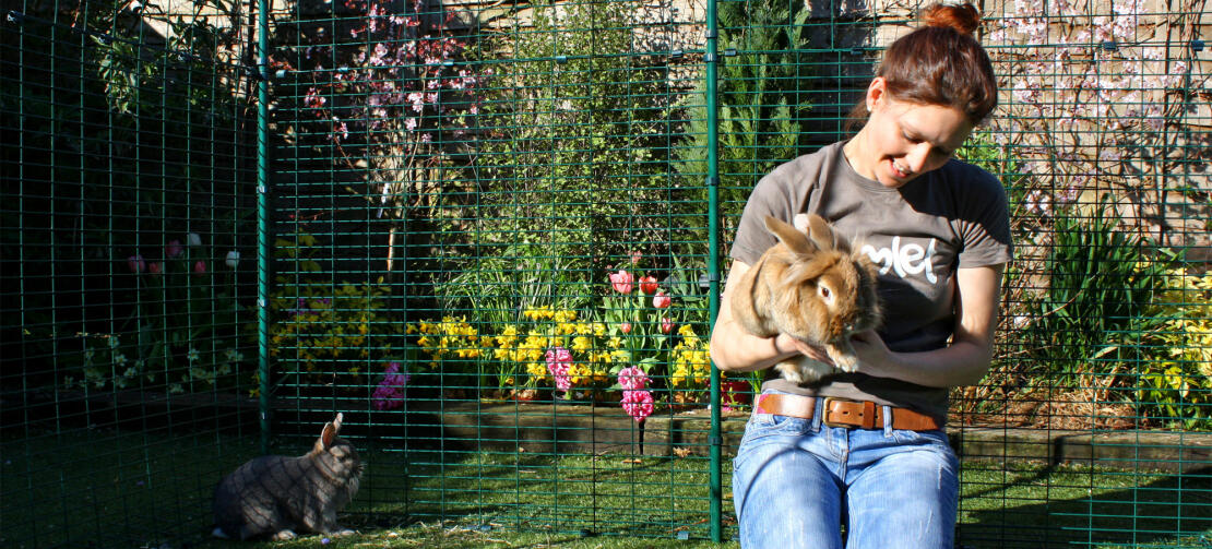 A woman holding a rabbit inside a rabbit enclosure