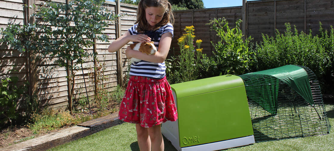 Children will love spending time with their guinea pigs Children will love spending time with their guinea pigs