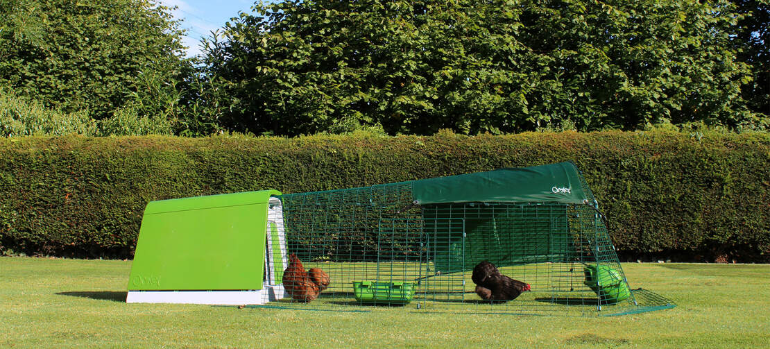The Eglu Go is a modern chicken coop design that is really practical for backyard chicken keeping The Eglu Go is a modern chicken coop design that is really practical for backyard chicken keeping