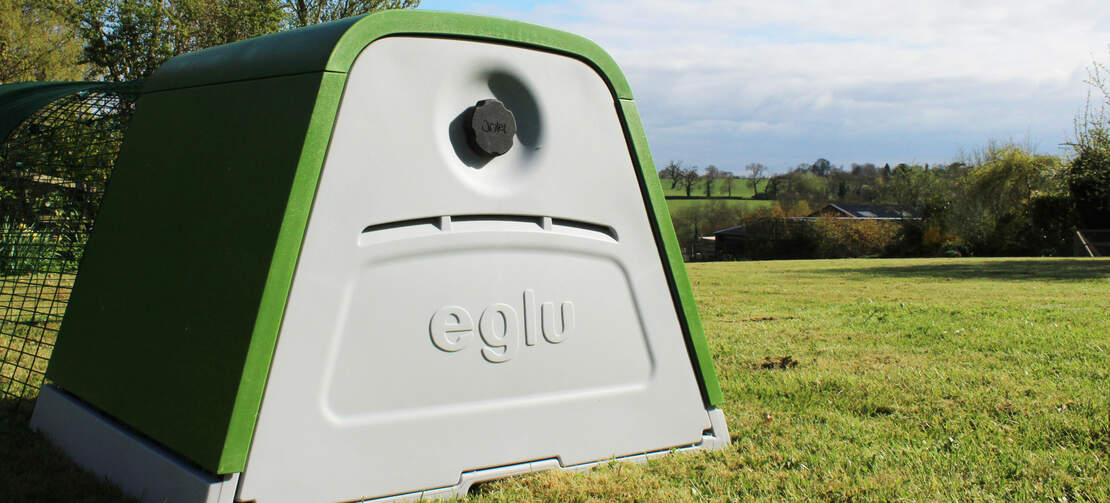 The back on an Eglu Go. The back on an Eglu Go.