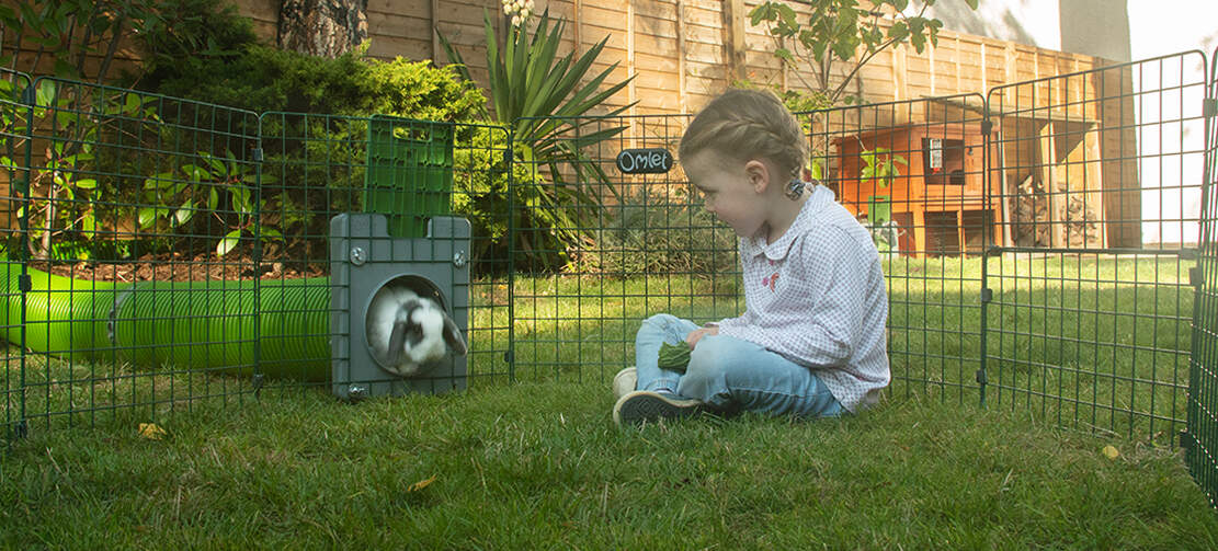 Girl in Omlet Zippi rabbit playpen watching rabbit come out of Omlet Zippi tunnel