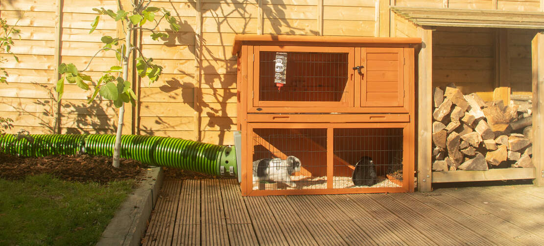 Rabbit hutch with Omlet Zippi tunnels