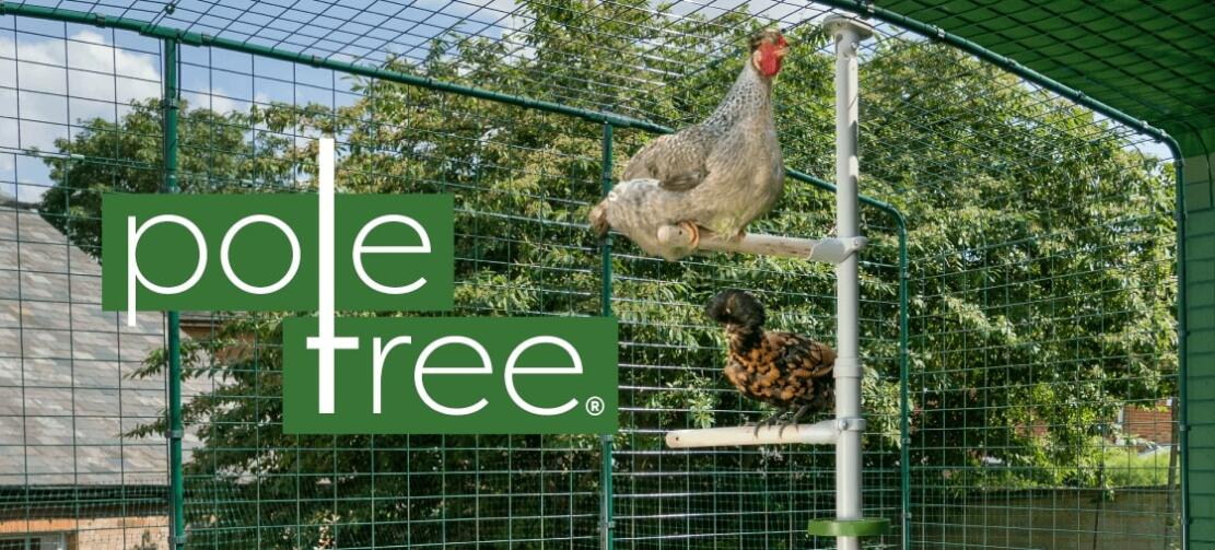 Poletree customisable chicken perch system by Omlet