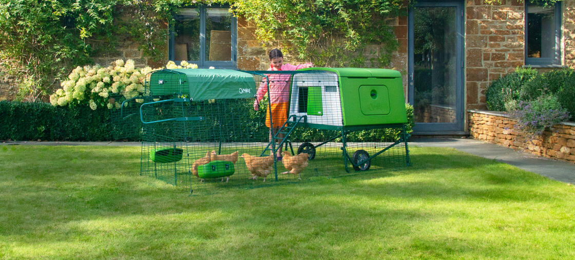 Eglu Cube and run in a garden with a young girl and chickens