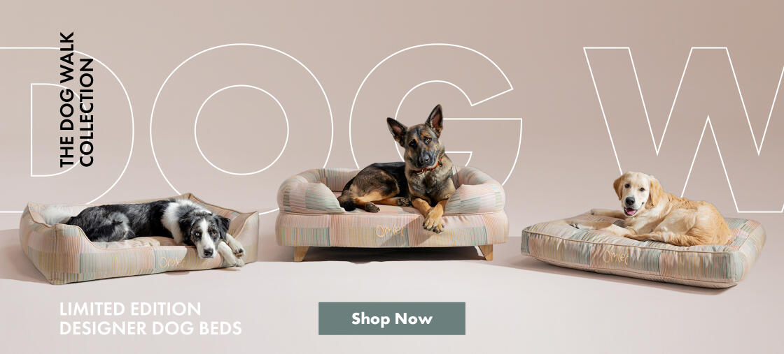 The dog walk collection - limited edition designer dog beds