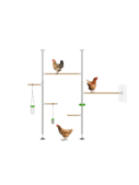 Poletree chicken tree perch system hensemble setup