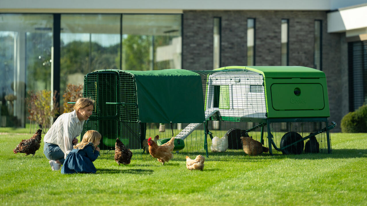 Woman crouching next to the Eglu pro large chicken coop