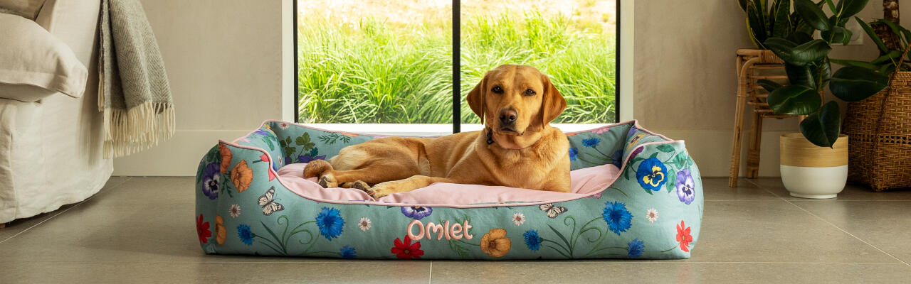 Labrador retriever on large nest dog bed in gardenia sage print.