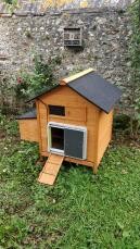 Automatic door on wooden hen house