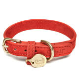 Dog Collars