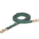 Dog Leads