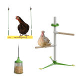 Chicken Toys & Accessories