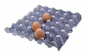 Purple egg tray with three eggs