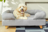 Dog sitting on Topology dog bed with bolster topper and wooden feet