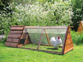 Clear cover shown on the forsham chicken ark