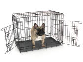 Fido Classic 30 dog crate with dog