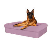 Dog sitting on lavender lilac large memory foam bolster dog bed