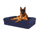 Dog sitting on midnight blue large memory foam bolster dog bed