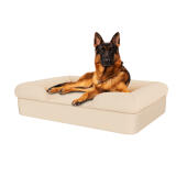 Dog sitting on natural beige large memory foam bolster dog bed