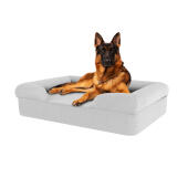 Dog sitting on stone grey large memory foam bolster dog bed