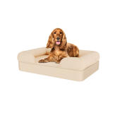 Dog sitting on medium natural beige memory foam bolster dog bed