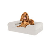 Dog sitting on medium meringue white memory foam bolster dog bed