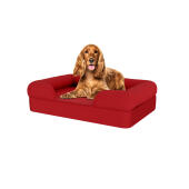 Dog sitting on medium merlot red memory foam bolster dog bed