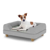 Dog sitting on a small Topology dog bed with grey bolster topper and wooden round feet