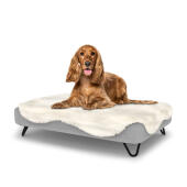 Dog sitting on medium Topology memory foam dog bed with easy to clean sheepskin topper and black hairpin feet