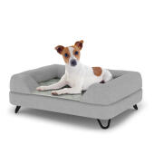 Dog sitting on a small Topology dog bed with grey bolster topper and black metal hairpin feet