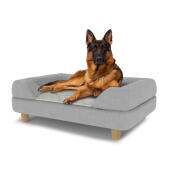 Dog sitting on a large Topology dog bed with grey bolster topper and wooden round feet