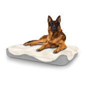Dog sitting on large Topology dog bed with sheepskin topper