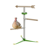 Chicken in the free standing  perch system kit