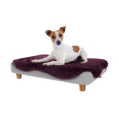 Dog resting in the Omlet Topology dog bed with soft purple sheepskin topper and round wooden feet