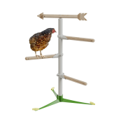 Chicken in the free standing  perch system kit