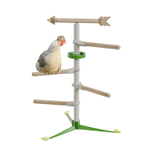 Chicken in the free standing  perch system kit