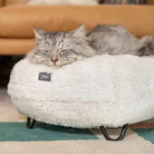 Cat Sleeping on a super soft donut cat bed in snowball white with customisable feet