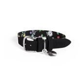 Omlet small dog collar midnight meadow