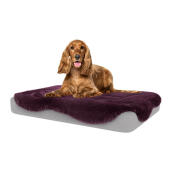Damson Purple Sheepskin for Topology Dog Bed