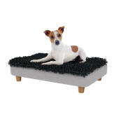 Jack russell in the small Topology dog bed