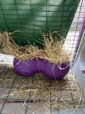 Using a glug dinker as a hay dispencer for my rabbit.
