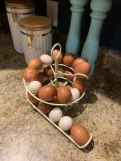 Lots of eggs on the egg skelter egg storage.